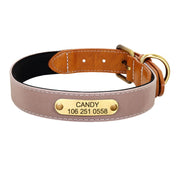 Collier Chien Cuir Clair