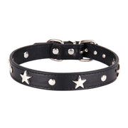 Collier Chien Cuir