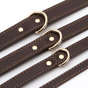Collier Chien Cuir
