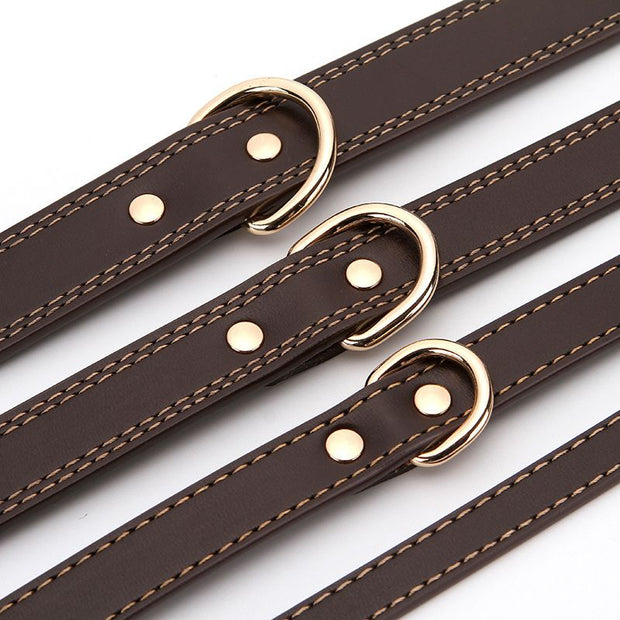 Collier Chien Cuir