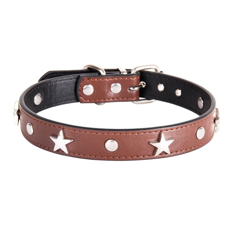 Collier Cuir Chien