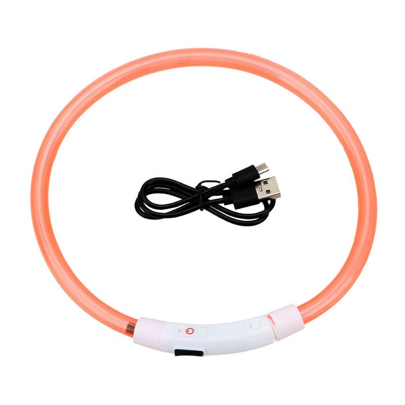 Collier Chien Lumineux