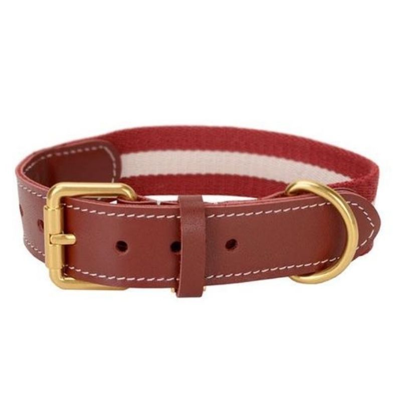 Collier en Cuir Bordeaux pour Chien
