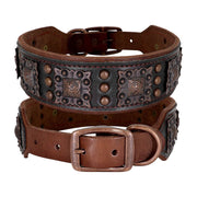 Collier Cuir Chien