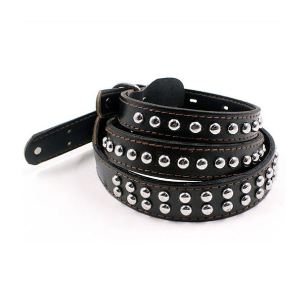 Collier Cuir Chien