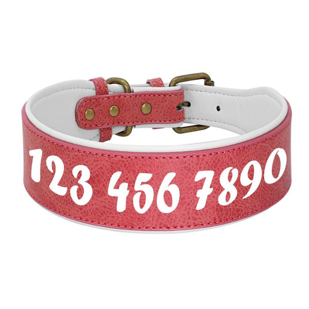 Collier Cuir Chien