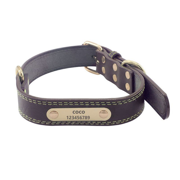 Collier Cuir Chien