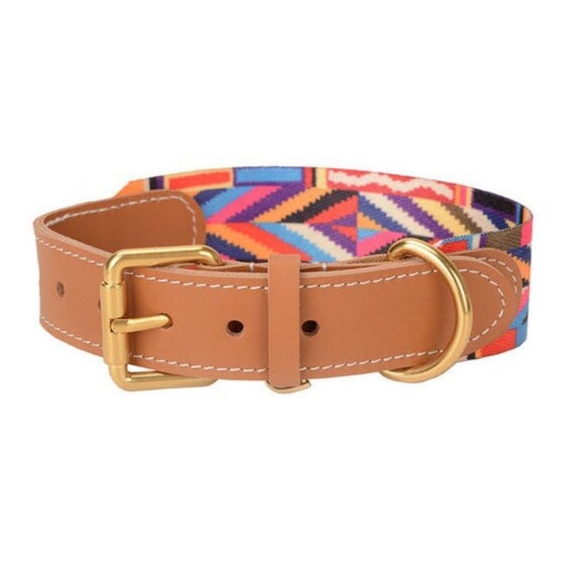 Collier en Cuir Multicolore pour Chien