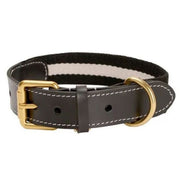 Collier en Cuir Noir pour Husky