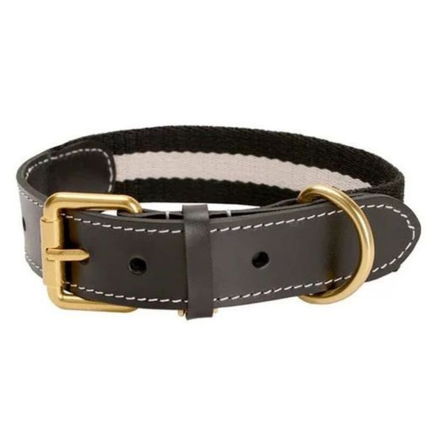 Collier en Cuir Noir pour Husky