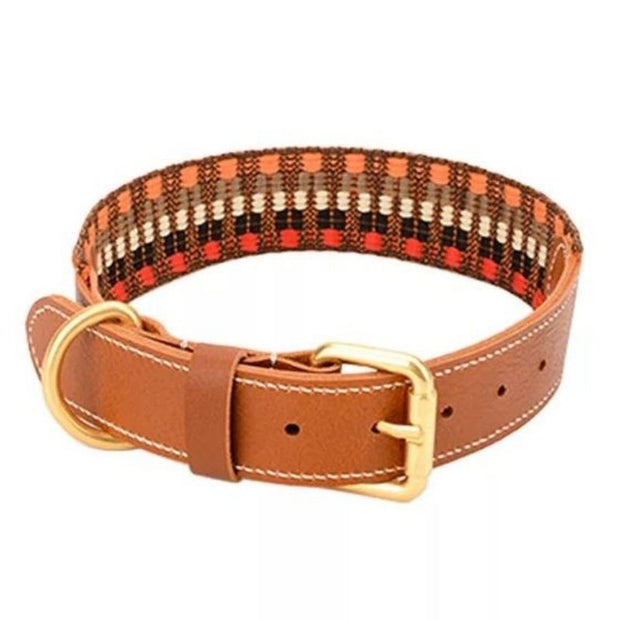 Collier Cuir Coloré pour Husky