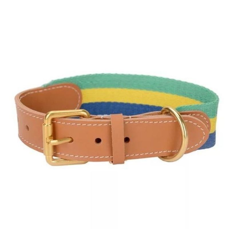 Collier Cuir pour Husky