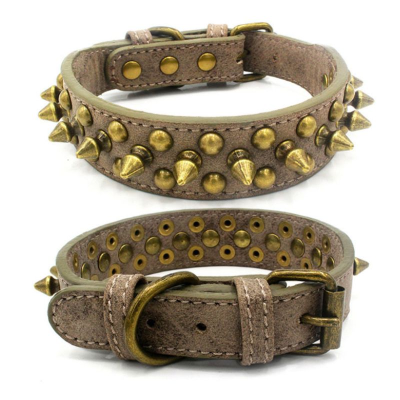 Collier Cuir pour Chien