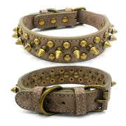 Collier Cuir pour Chien