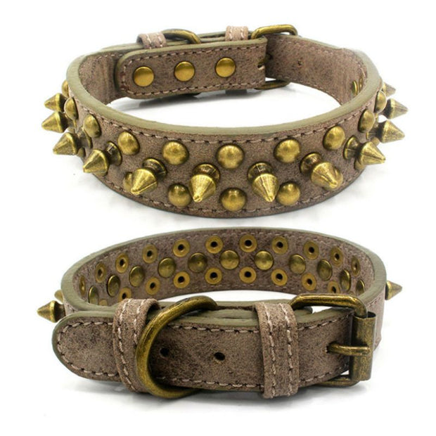 Collier Cuir pour Chien