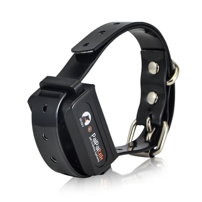 Collier Electrique Chien