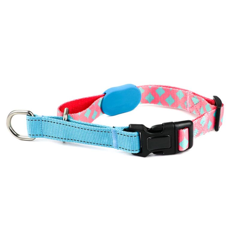 Collier Etrangleur Chien