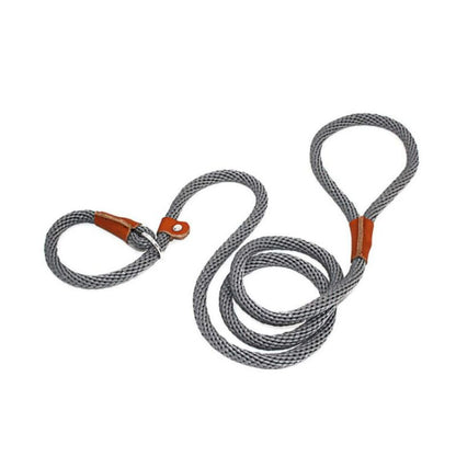 Collier Etrangleur Chien