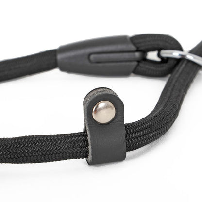 Collier Etrangleur Chien