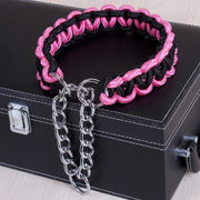 Collier étrangleur pour Chien