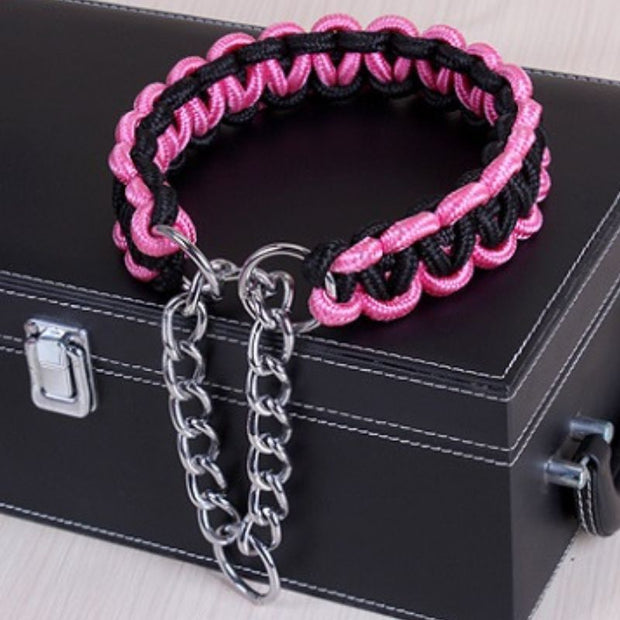 Collier étrangleur pour Chien