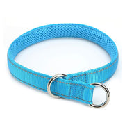 Collier Etrangleur pour Chien