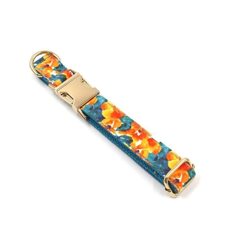 Collier Chien Personnalisé Orangé