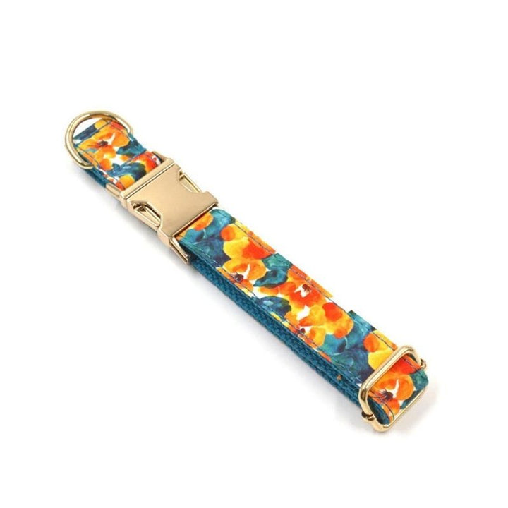 Collier Chien Personnalisé Orangé