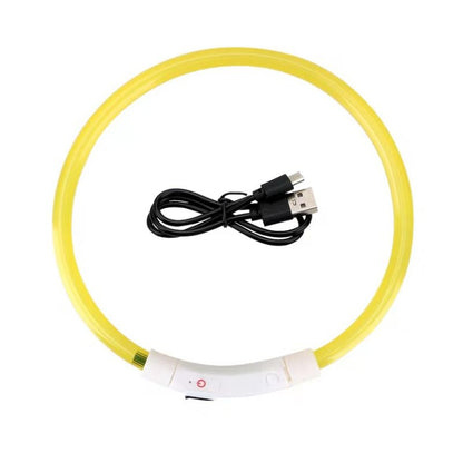 Collier Lumineux pour Chien