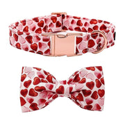 Collier Chien Personnalisé Motifs Coeurs