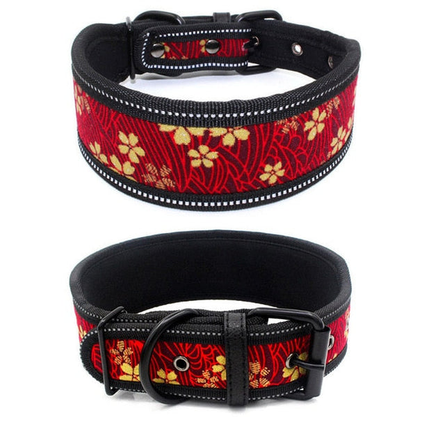 Collier Pour Gros Chien