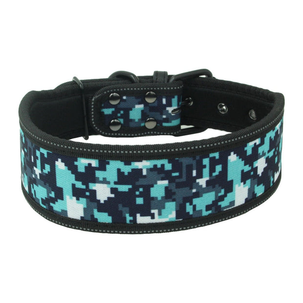 Collier Sécurité Pour Husky