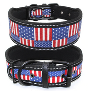 Collier Solide Pour Husky