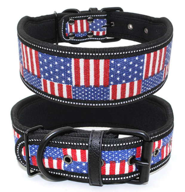 Collier Solide Pour Husky