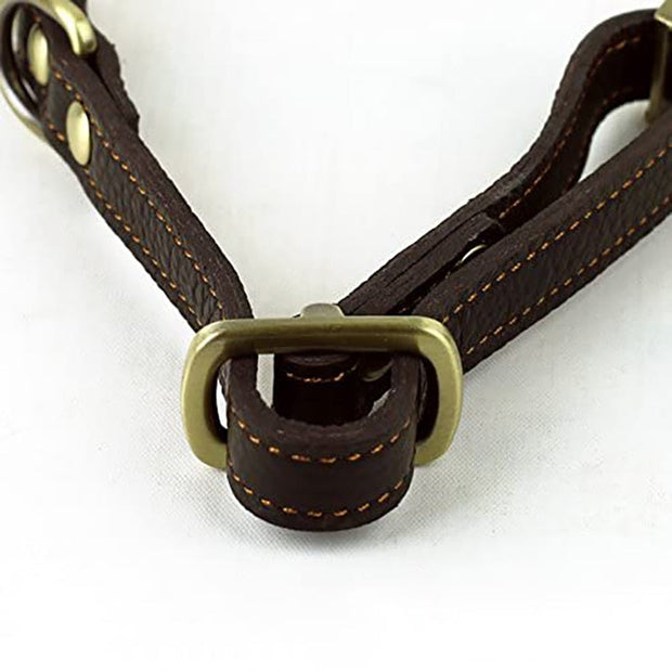 Collier Fin Cuir