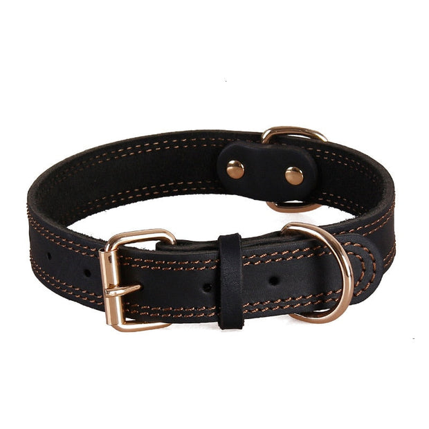 Collier Chien en Cuir