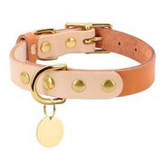 Collier Chien Cuir