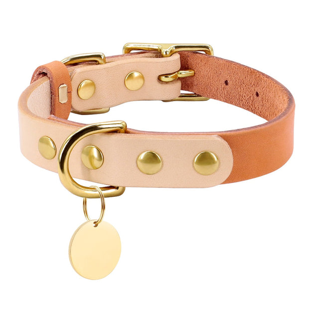 Collier Chien Cuir