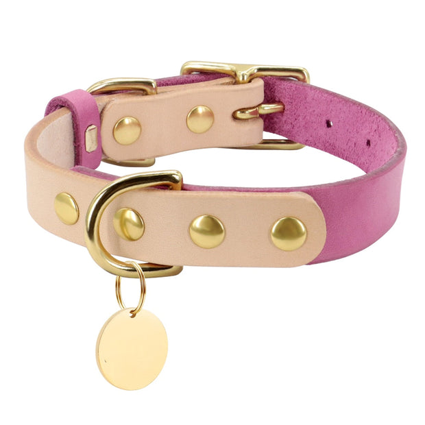 Collier Chien en Cuir