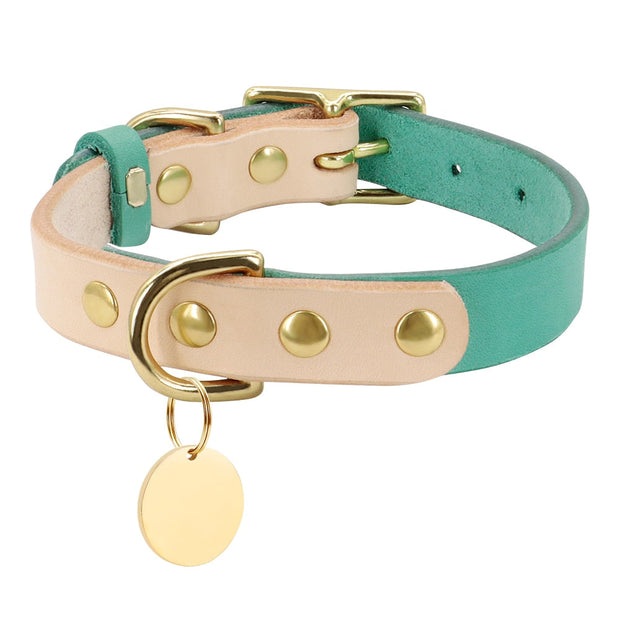 Collier En Cuir pour Chien