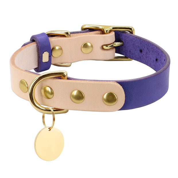 Collier En Cuir Coloré