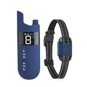 Collier de d'éducation Bleu