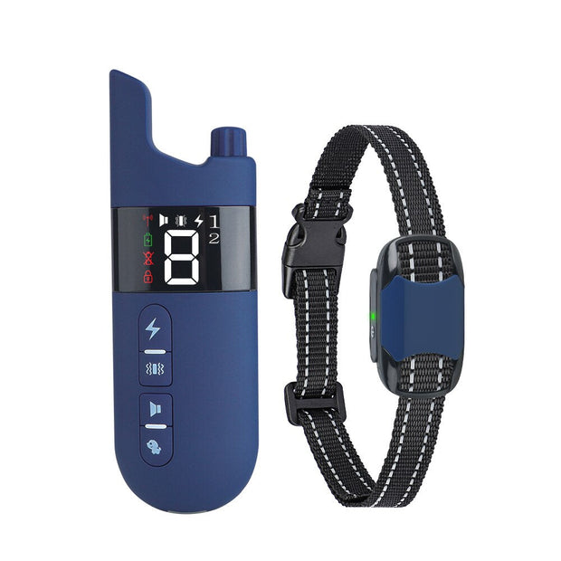 Collier de d'éducation Bleu