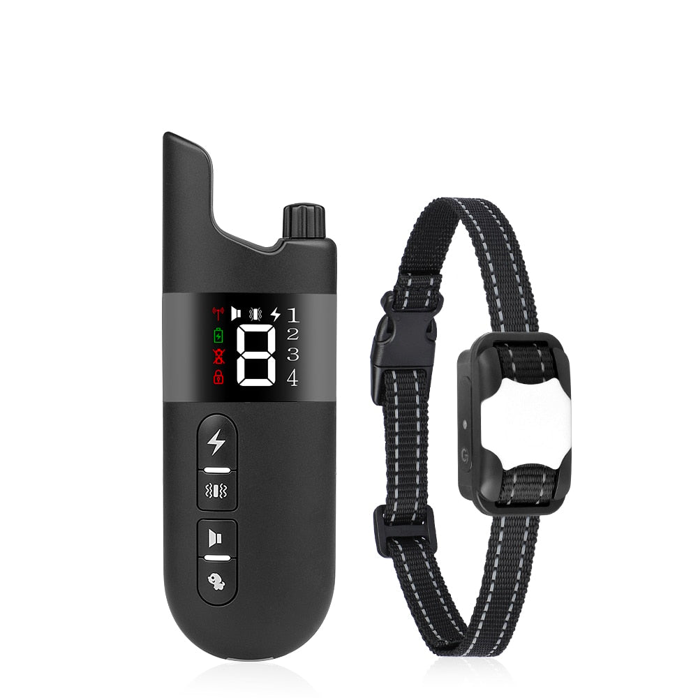 Collier d'apprentissage pour Husky