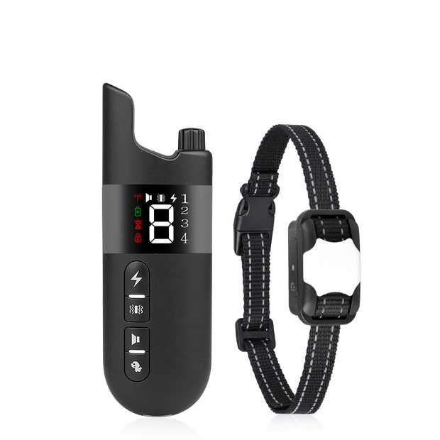 Collier d'apprentissage pour Husky
