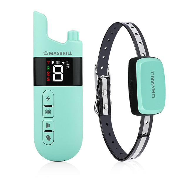 Collier Electrique pour Chien