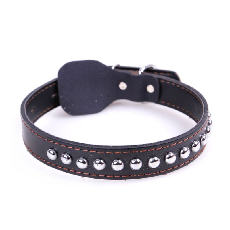 Collier en Cuir Chien