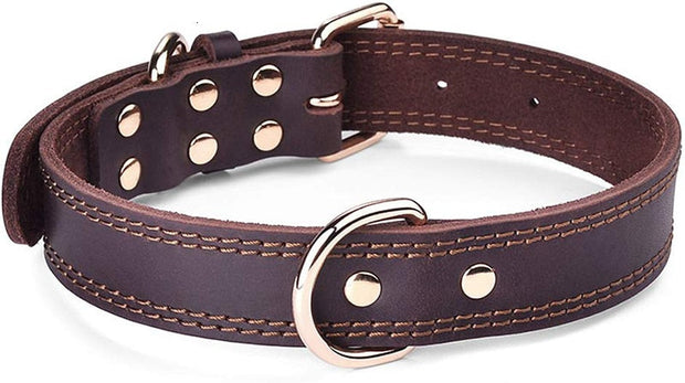 Collier Chien cuir 1