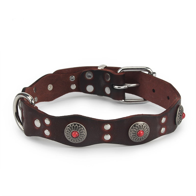 Collier en Cuir pour Chien