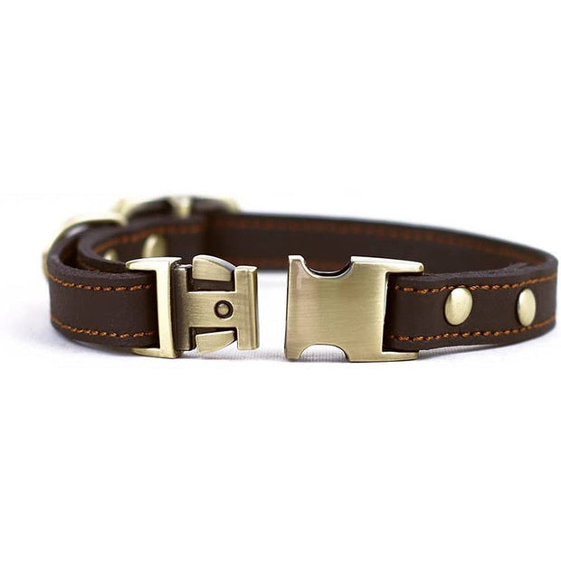 Collier Cuir Chiot